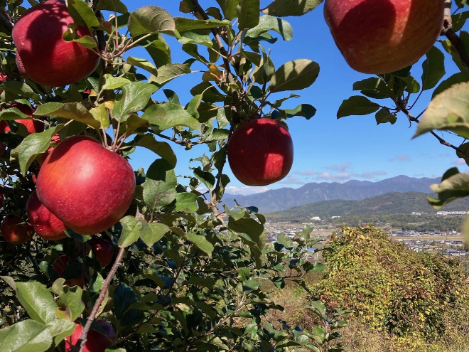 「信州上田なないろ農産物」